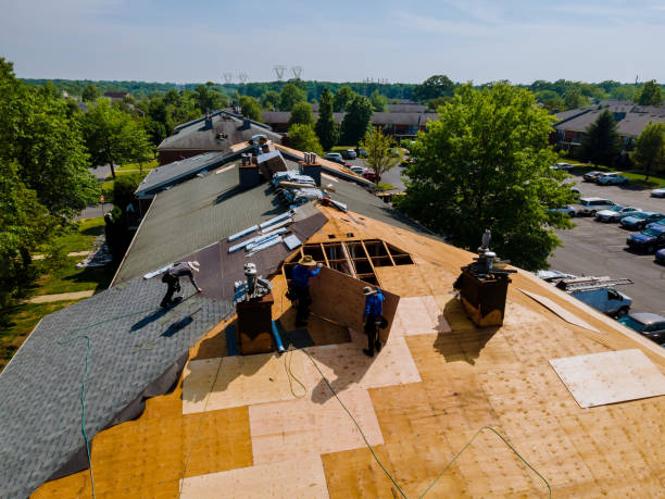 Quick and Trustworthy Emergency Roof Repair Services in Cleveland, AL