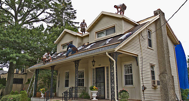 Best Storm Damage Roof Repair  in Cleveland, AL